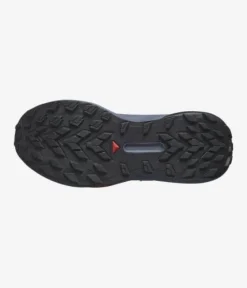 Salomon Genesis Carbon / Grisaille / Aloe Wash