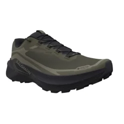 Salomon Genesis 2 Gtx Grape Leaf / Black / Deep Lichen Green