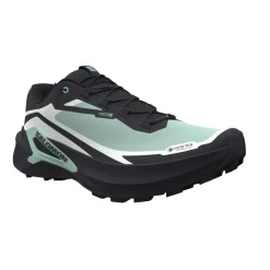 Salomon Genesis 2 Gtx W Lichen / Black / Clearly Aqua