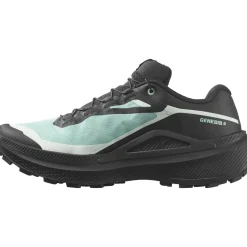 Salomon Genesis 2 Gtx W Lichen / Black / Clearly Aqua
