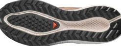 Salomon Men´s Aero Blaze 4 Grvl Burro / Vanilla Ice / Black