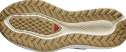 Salomon Men's Aero Glide 3 Grvl Wren/Vanilla Ice/Coyote Brown