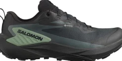 Salomon Men's Genesis GORE-TEX Black/Agave Green/Urban Chic