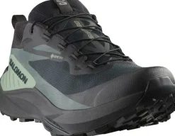 Salomon Men's Genesis GORE-TEX Black/Agave Green/Urban Chic