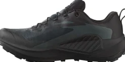 Salomon Men's Genesis GORE-TEX Black/Agave Green/Urban Chic