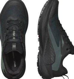 Salomon Men's Genesis GORE-TEX Black/Agave Green/Urban Chic