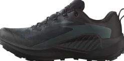 Salomon Men's Genesis GORE-TEX Black/Agave Green/Urban Chic