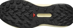 Salomon Men's Genesis Transparent Yellow / Black / Willowherb