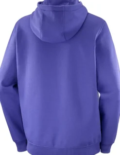 Salomon Men's Salomon Logo Hoodie Liberty