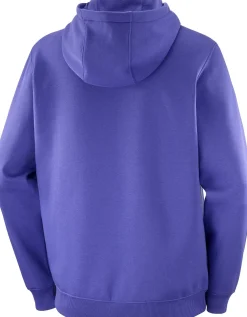Salomon Men's Salomon Logo Hoodie Liberty