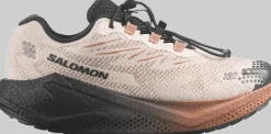 Salomon Women´s Aero Blaze 4 Grvl GORE-TEXVanilla Ice / Black / Burro