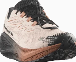 Salomon Women´s Aero Blaze 4 Grvl GORE-TEXVanilla Ice / Black / Burro