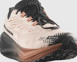 Salomon Women´s Aero Blaze 4 Grvl GORE-TEXVanilla Ice / Black / Burro
