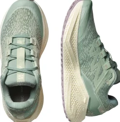 Salomon Women's Aero Glide 3 Grvl Sea Foam/vanilla Ice/nirvana