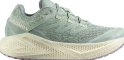 Salomon Women's Aero Glide 3 Grvl Sea Foam/vanilla Ice/nirvana