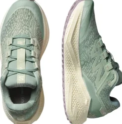 Salomon Women's Aero Glide 3 Grvl Sea Foam/vanilla Ice/nirvana