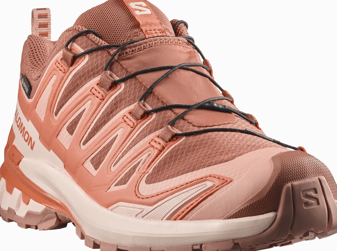 Salomon Women's XA Pro 3d V9 GORE-TEX Pecan Brown / Nectarine / Almond Cream