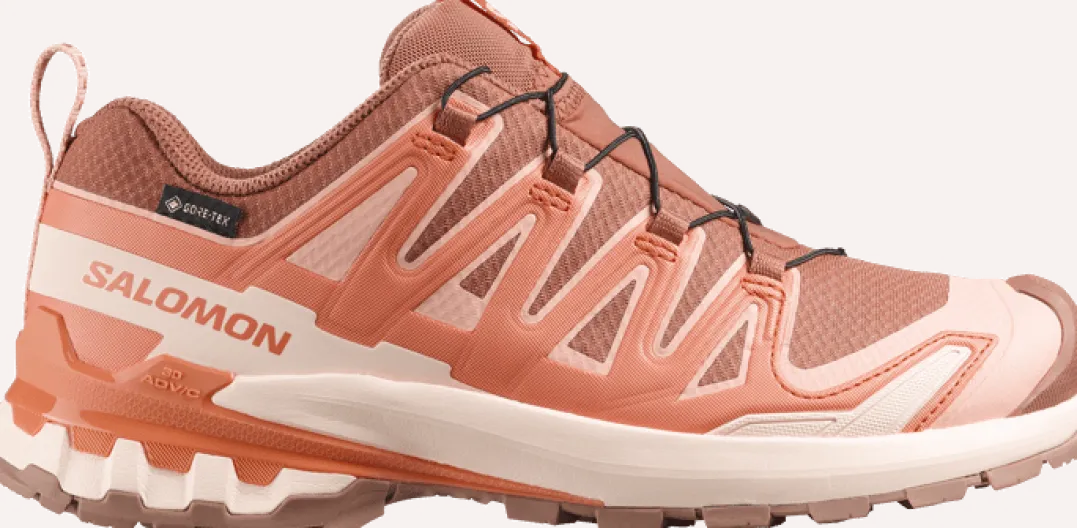 Salomon Women's XA Pro 3d V9 GORE-TEX Pecan Brown / Nectarine / Almond Cream