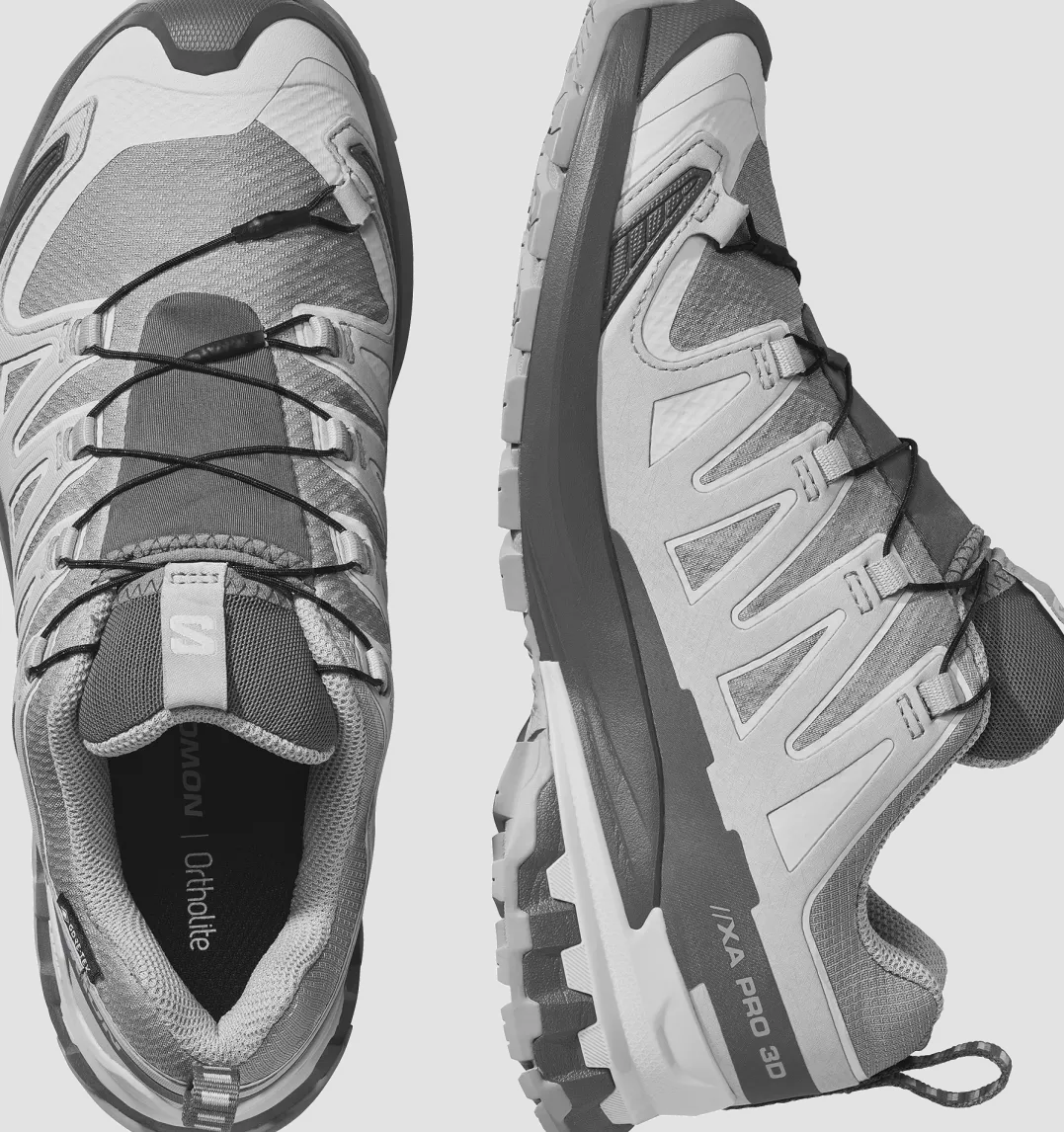 Salomon Women's XA Pro 3d V9 GORE-TEX Alloy / Castlerock / Lunar Rock