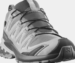 Salomon Women's XA Pro 3d V9 GORE-TEX Alloy / Castlerock / Lunar Rock
