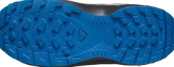 Salomon Xa Pro V8 Mid Waterproof Black/monument/french Blue
