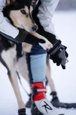 Seleverkstedet Seleverkstedet High Endurance dog boot 4pk Grå/svart