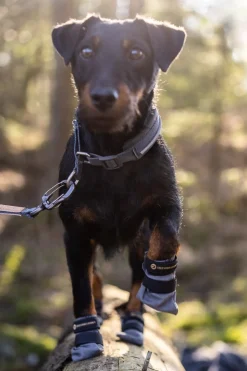 Seleverkstedet Seleverkstedet High Endurance dog boot 4pk Grå/svart