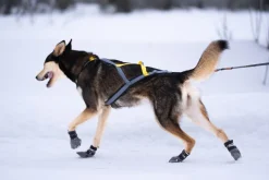 Seleverkstedet Seleverkstedet High Endurance dog boot 4pk Grå/svart