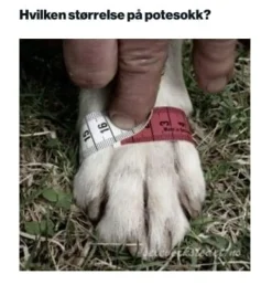 Seleverkstedet Seleverkstedet High Endurance dog boot 4pk Grå/svart