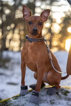 Seleverkstedet Seleverkstedet Fleece grey dog boot 4pk Grå/svart