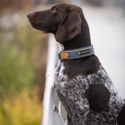 Seleverkstedet Seleverkstedet Unify dog collar Grå/brun