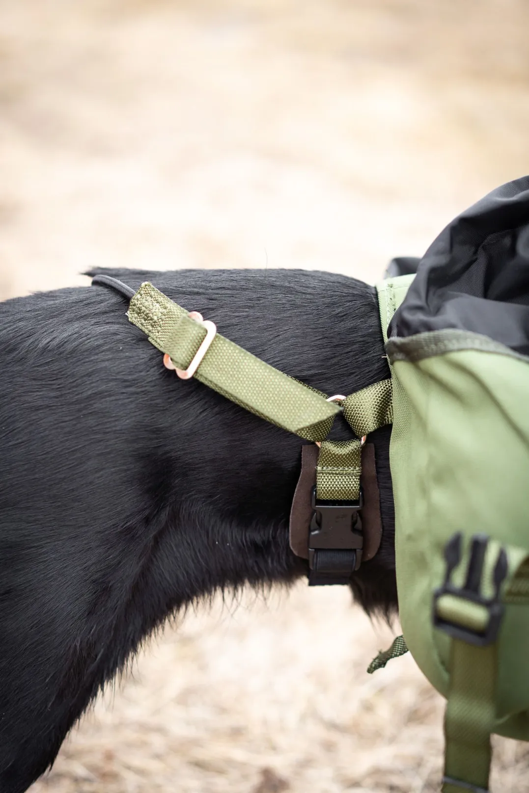 Seleverkstedet Togo hundekløv Grønn/brun Mini+