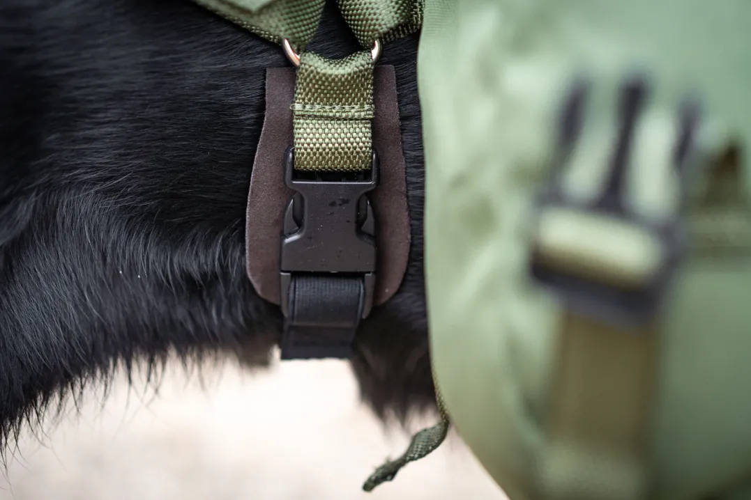 Seleverkstedet Togo hundekløv Grønn/brun Mini+