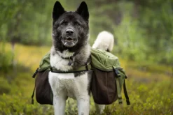 Seleverkstedet Togo hundekløv Grønn/brun L