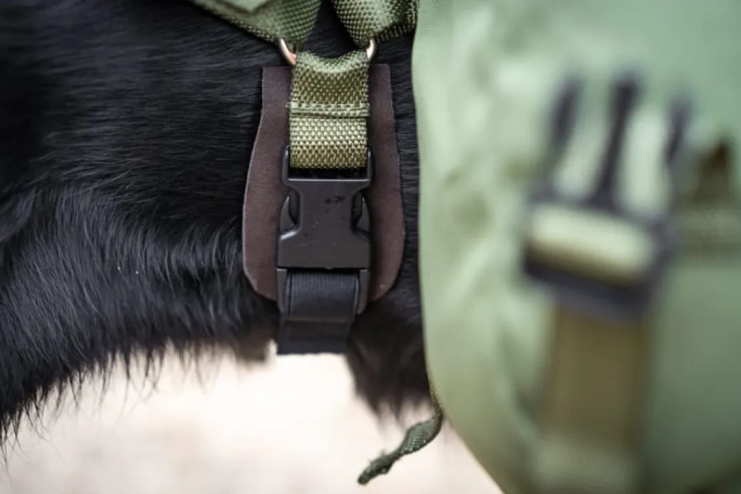 Seleverkstedet Togo hundekløv Grønn/brun XL