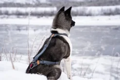 Seleverkstedet Trekreg dog harness Grå/brun XS