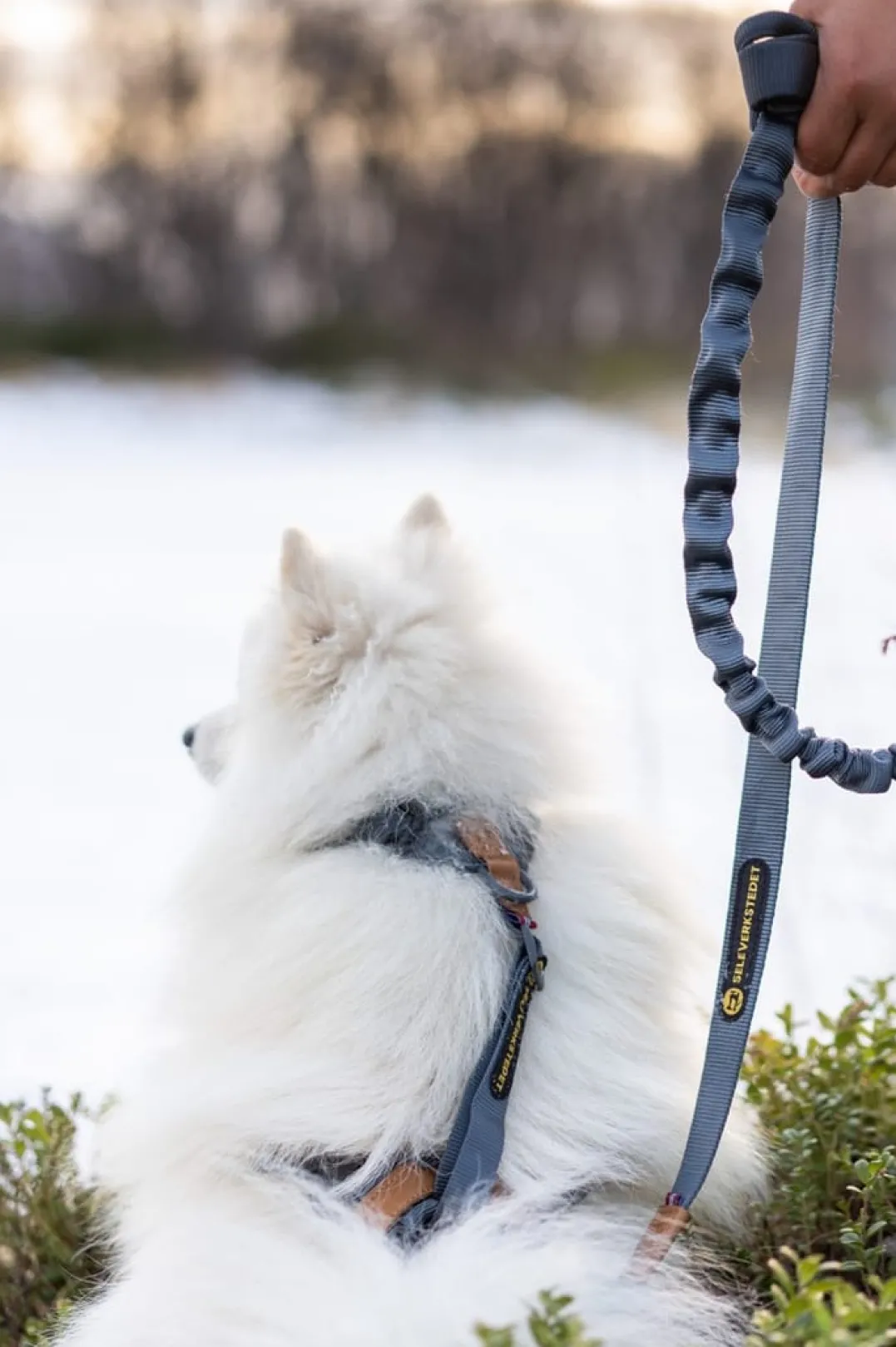 Seleverkstedet Trekreg dog harness Grå/brun XS