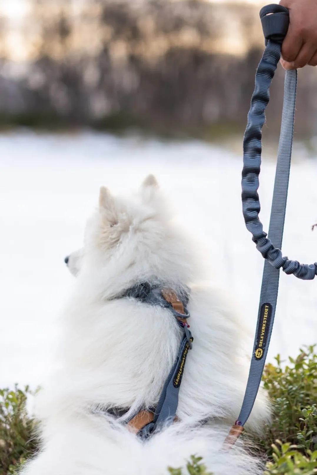 Seleverkstedet Trekreg dog harness Grå/brun XS