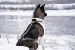 Seleverkstedet Trekreg dog harness Grå/brun