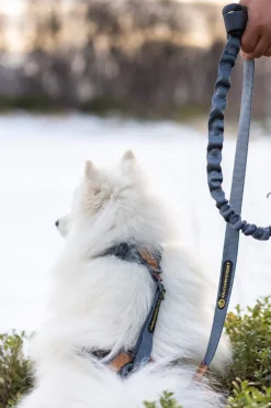 Seleverkstedet Trekreg dog harness Grå/brun XXS