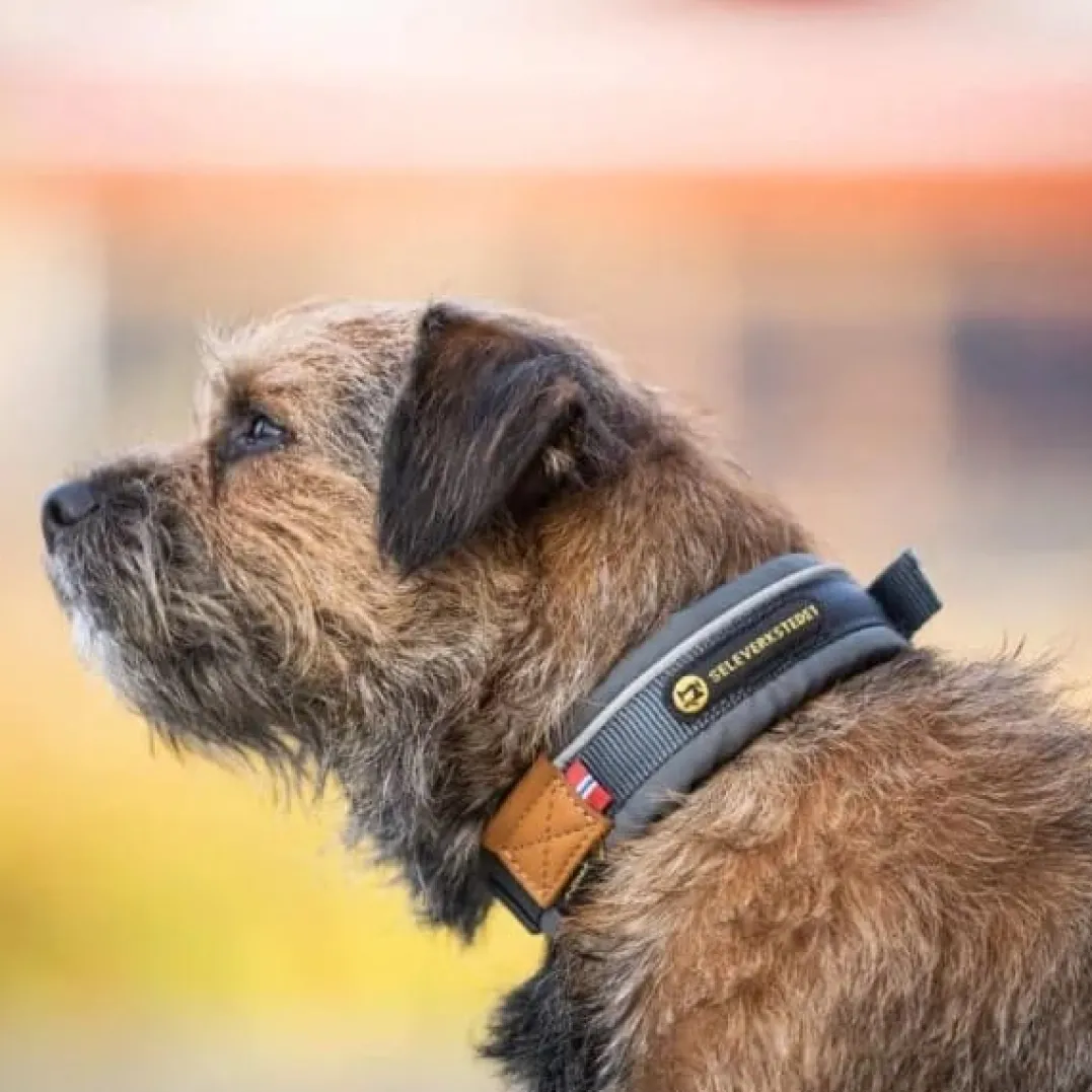 Seleverkstedet Unify dog collar Grå/brun