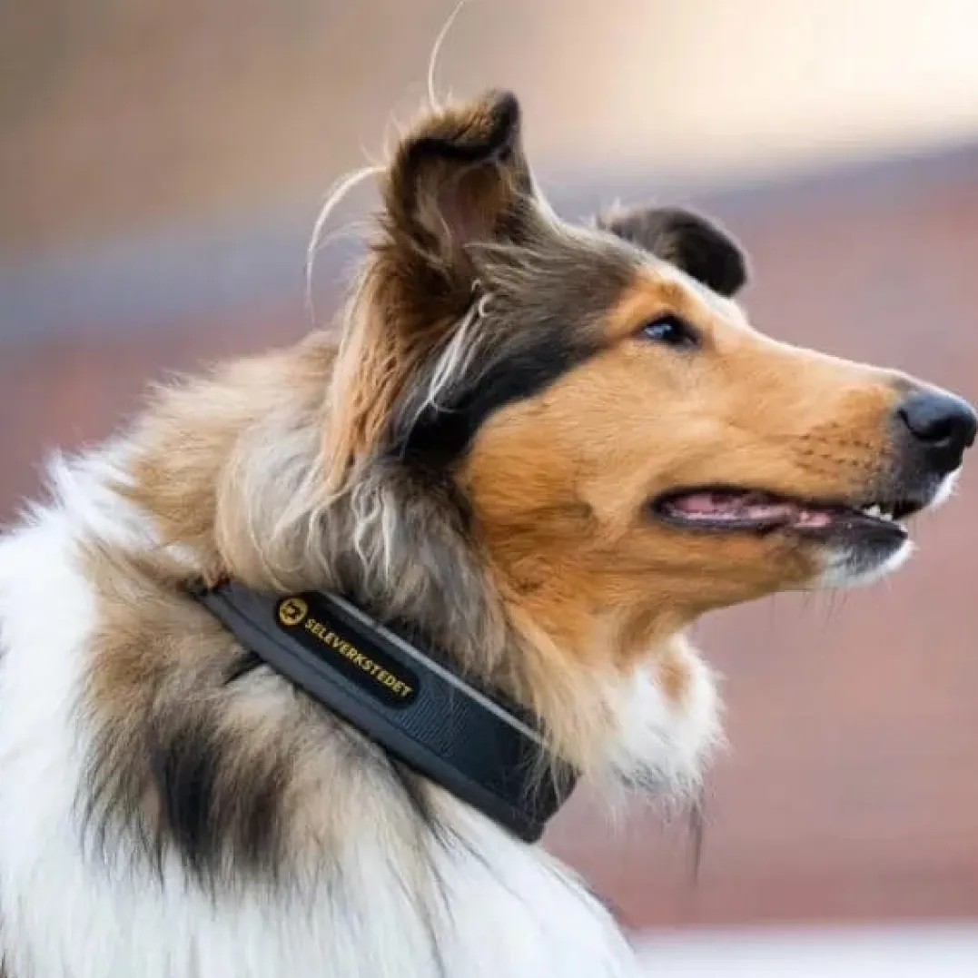 Seleverkstedet Unify dog collar Grå/brun