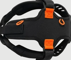 Silva Ignite