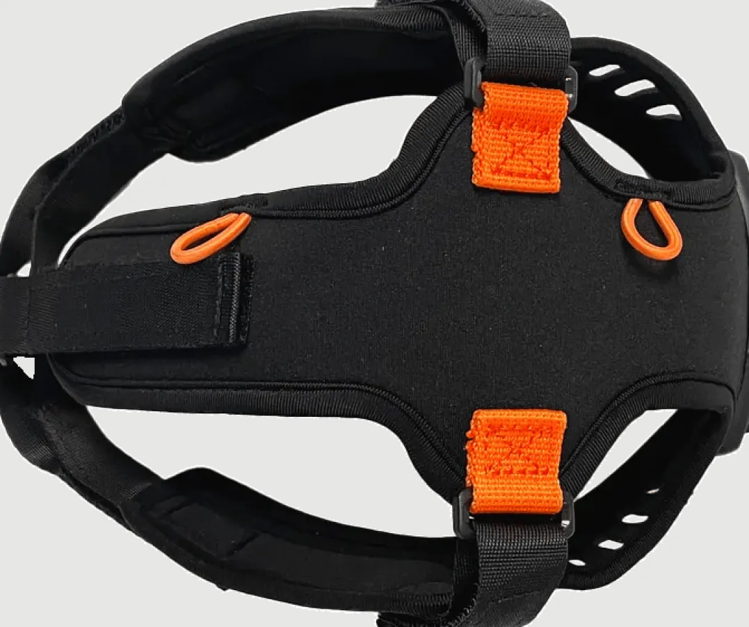 Silva Ignite Head Mount