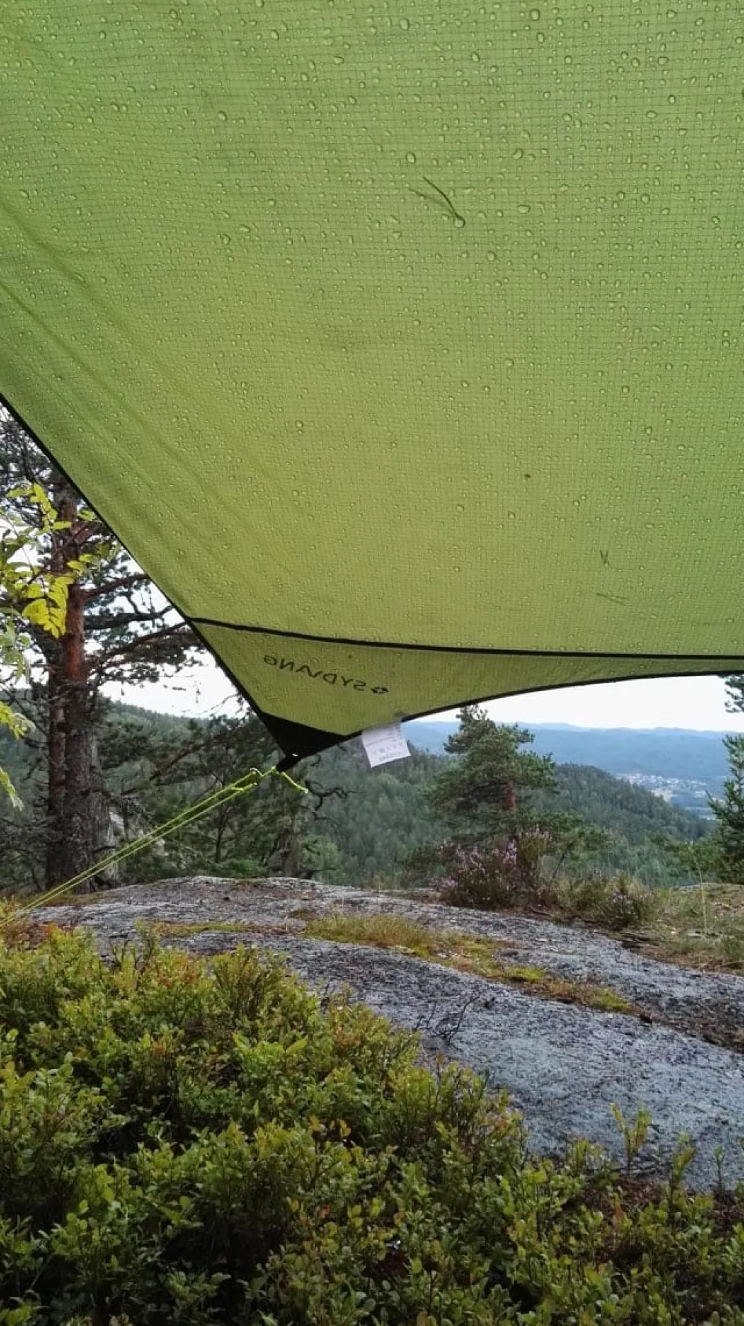 Sydvang Tarp 9 Green