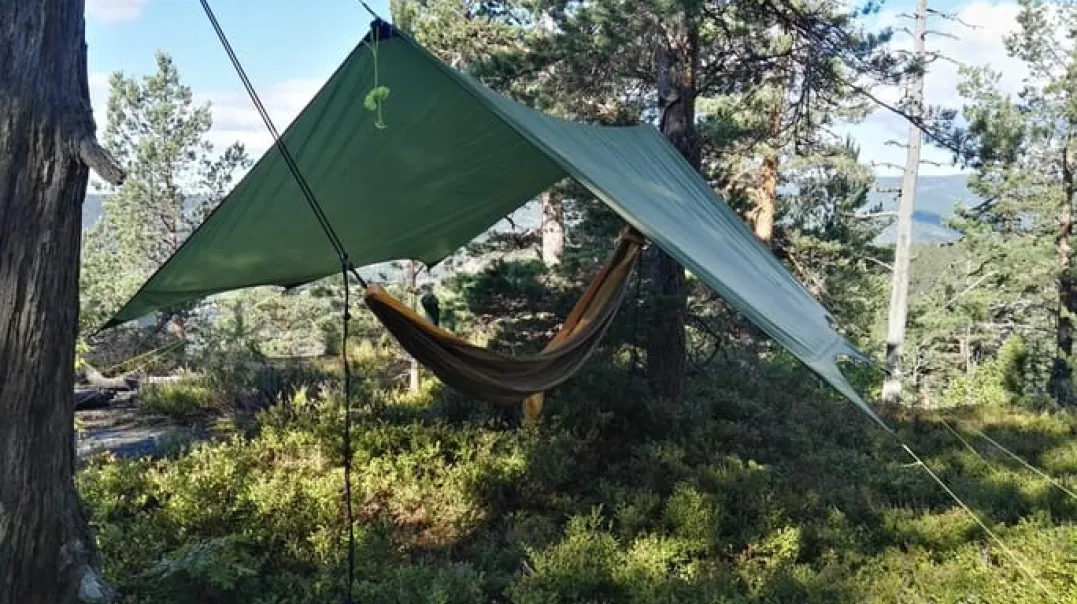 Sydvang Tarp 9 Green