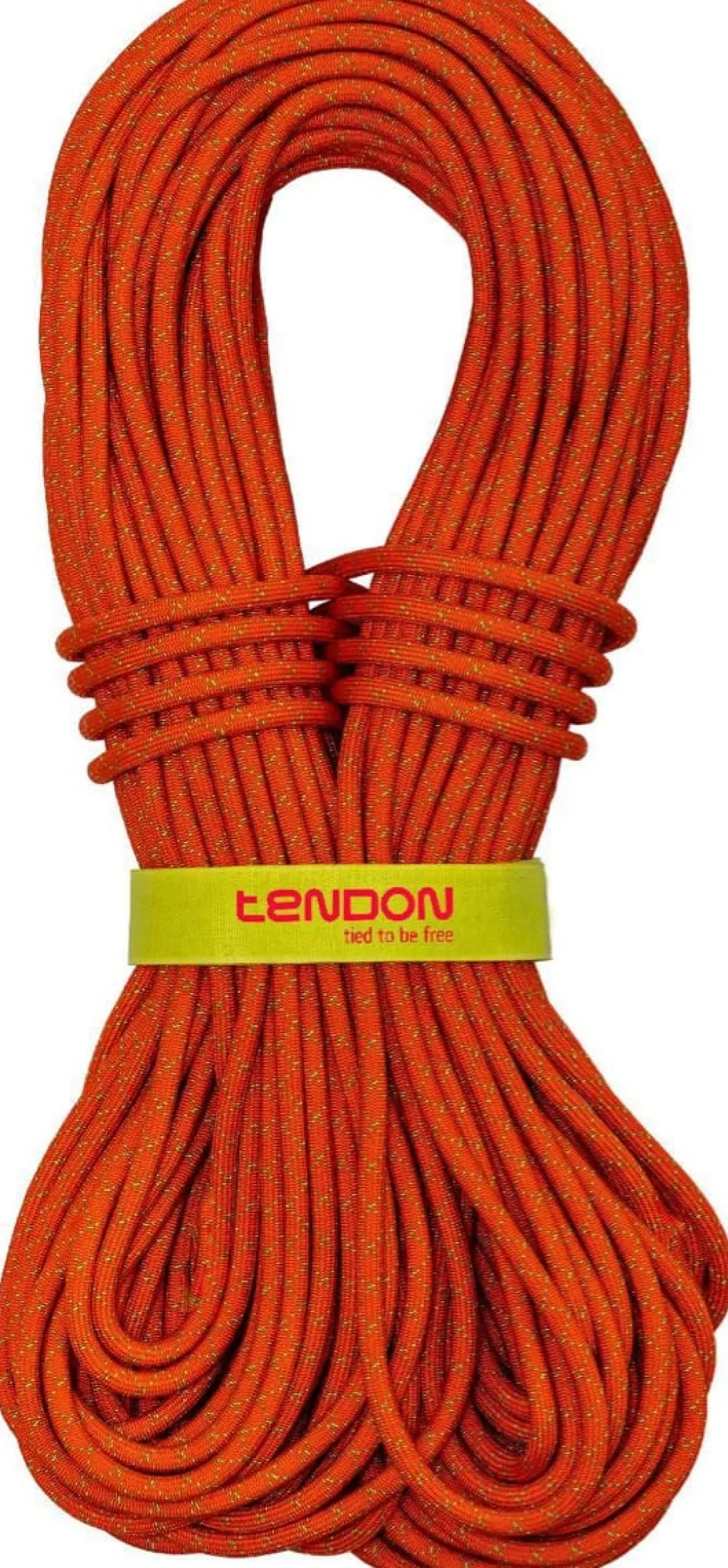 Tendon Master Pro 7,6mm CS 70m Orange