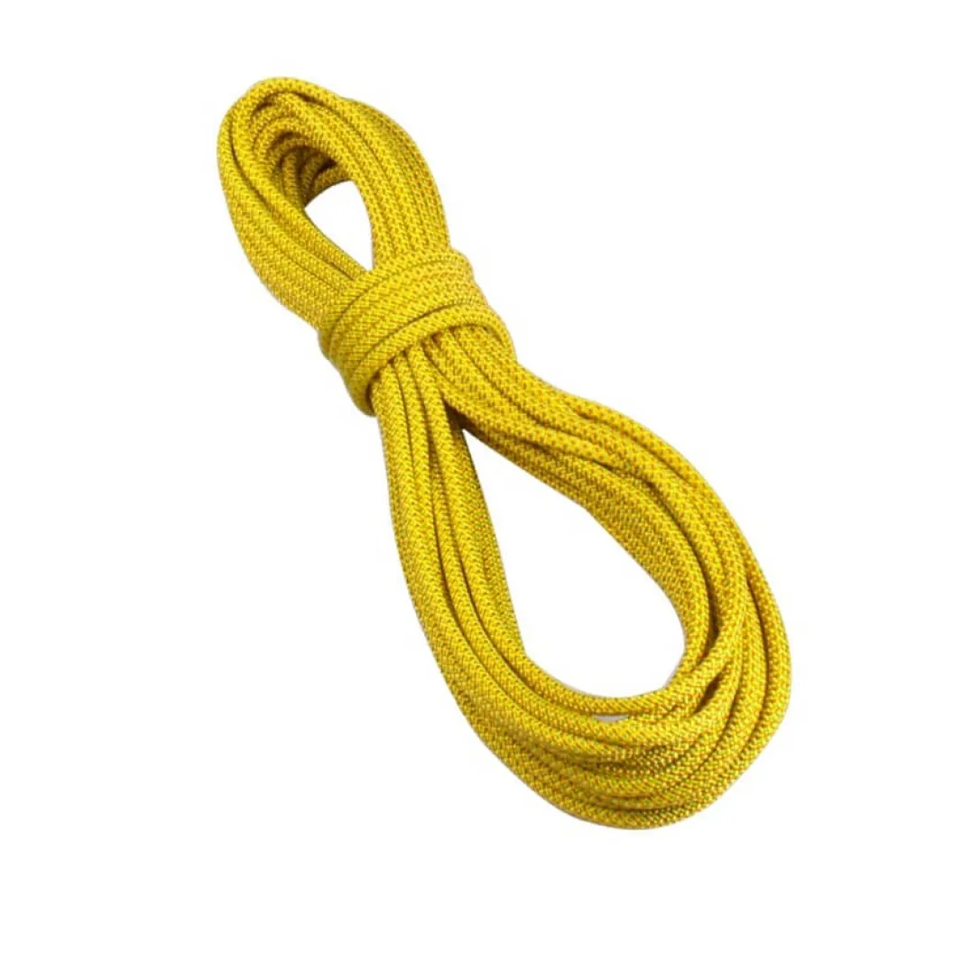 Tendon 7.9mm Alpine ST 30m Yellow
