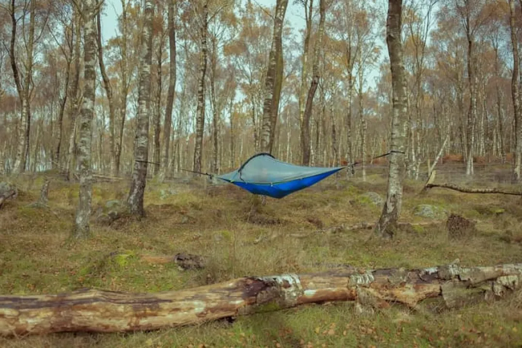 Tentsile Una 1-Person Tree Tent Forest Green