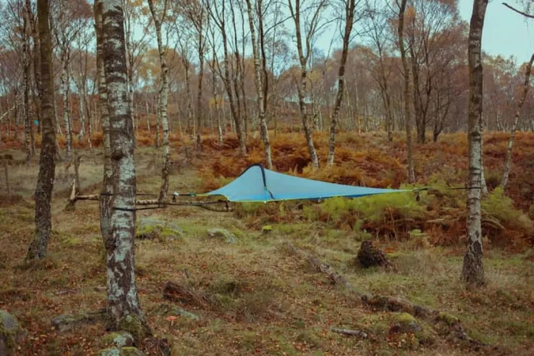 Tentsile Una 1-Person Tree Tent Forest Green